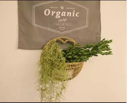 你的家配電箱,所以裝修很漂亮!